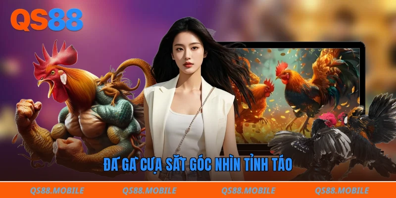 Đá gà cựa sắt góc nhìn tỉnh táo