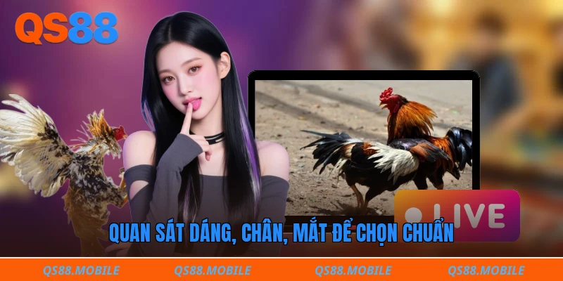 Quan sát dáng, chân, mắt để chọn chuẩn